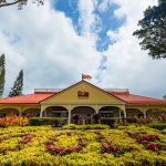 dole plantation