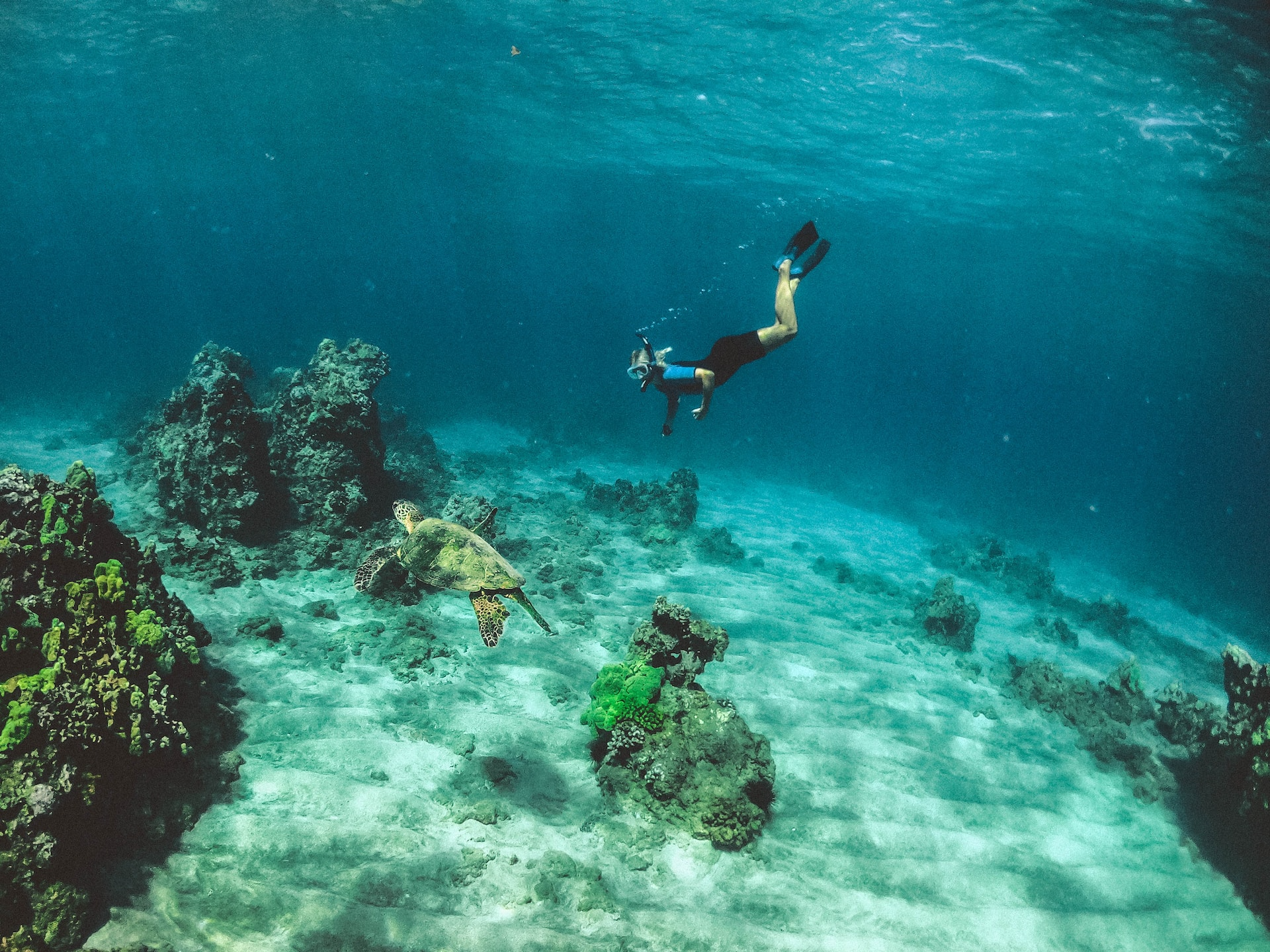 Molokini Crater