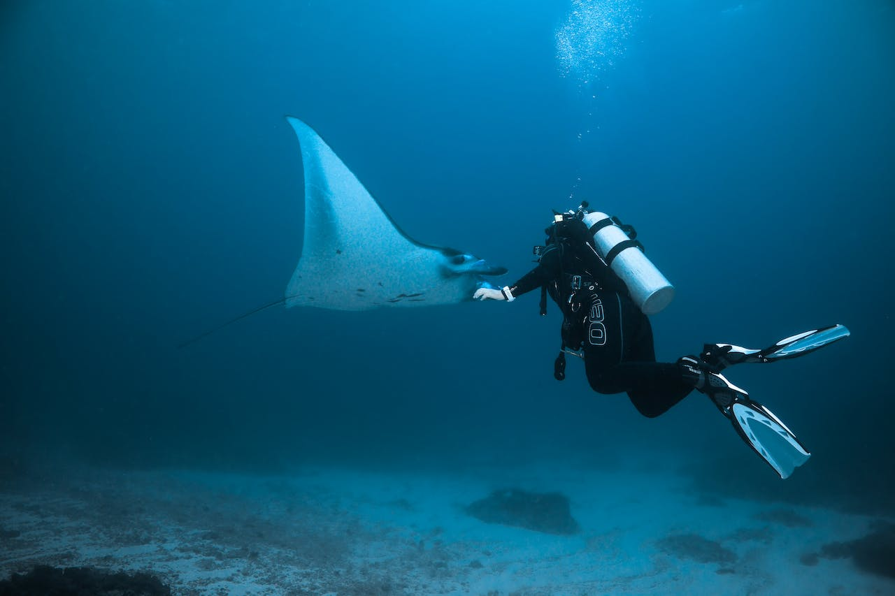 Snorkelling Tour