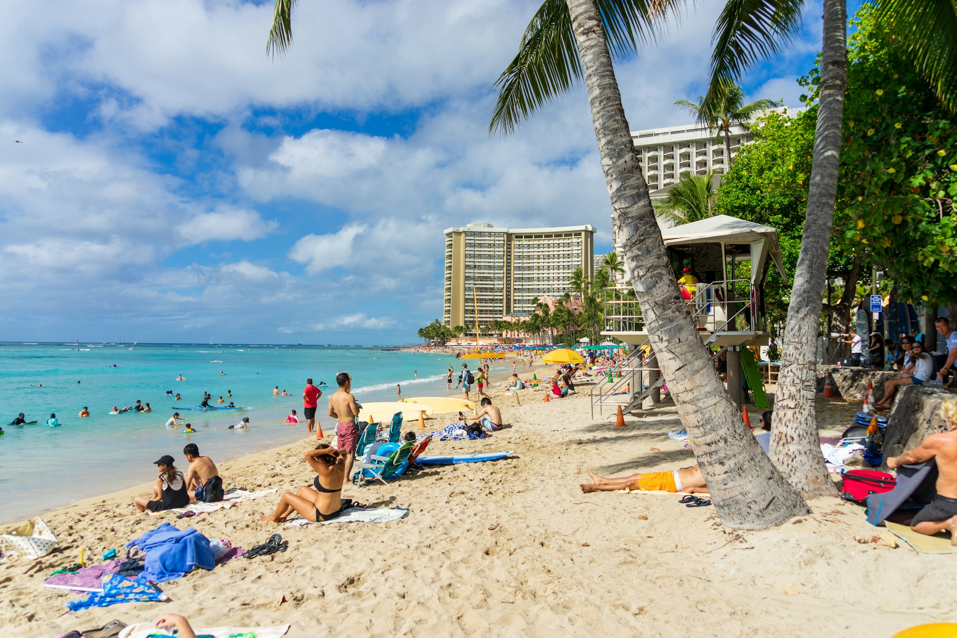 Attractions Around Magic Island