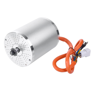 Doinal Brushless DC Motor