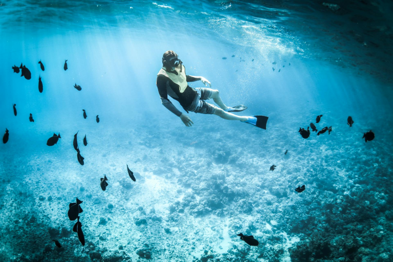 Snorkel Around Oahu