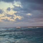 Exciting Things To Do In North Shore