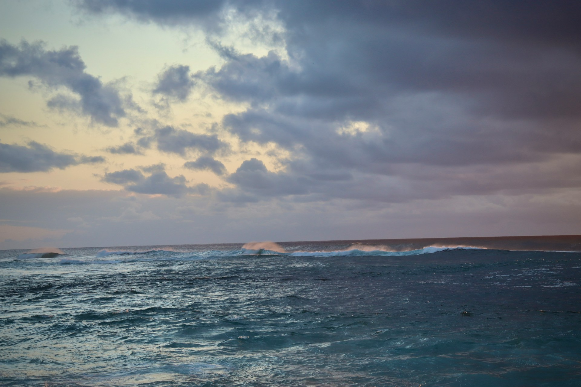 Exciting Things To Do In North Shore
