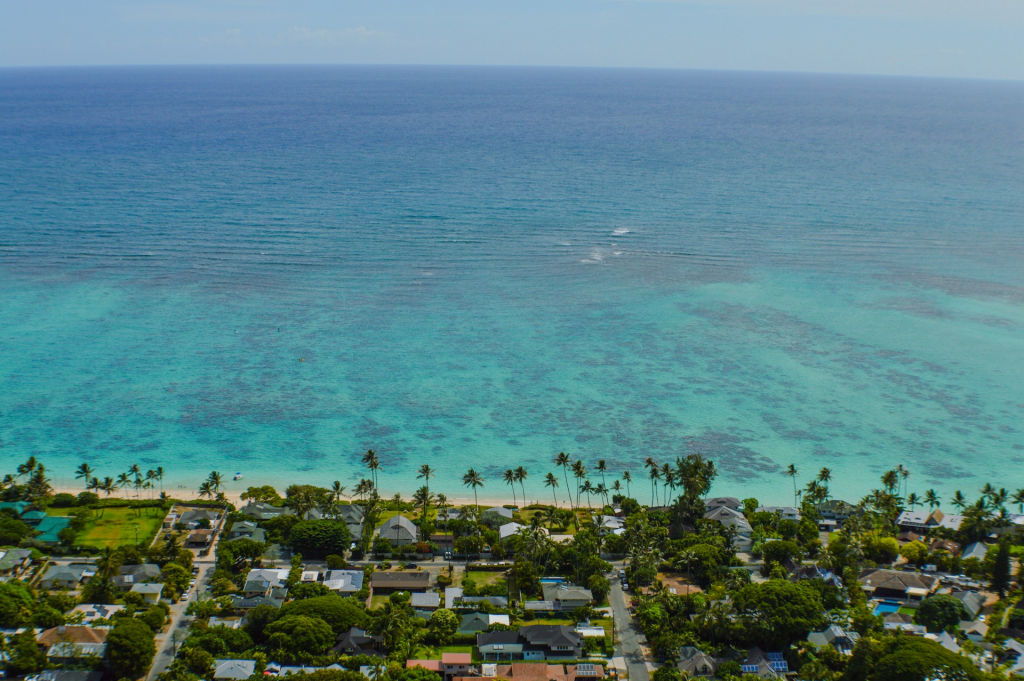 Exciting Things To Do In North Shore