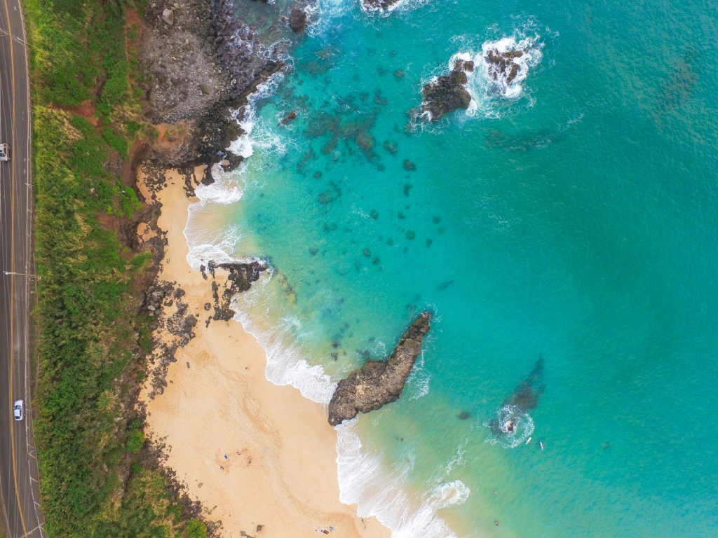 Exciting Things To Do In North Shore