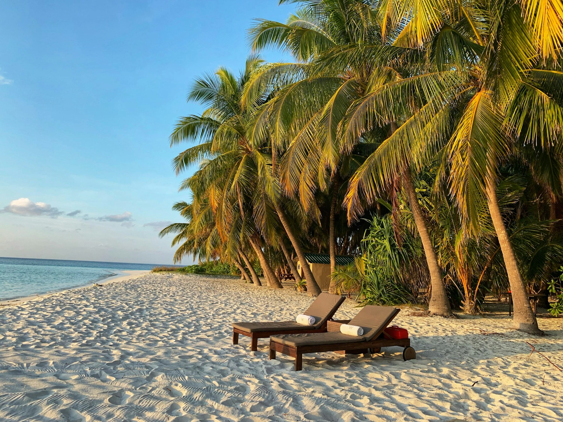 Recommended In The Windward Coast