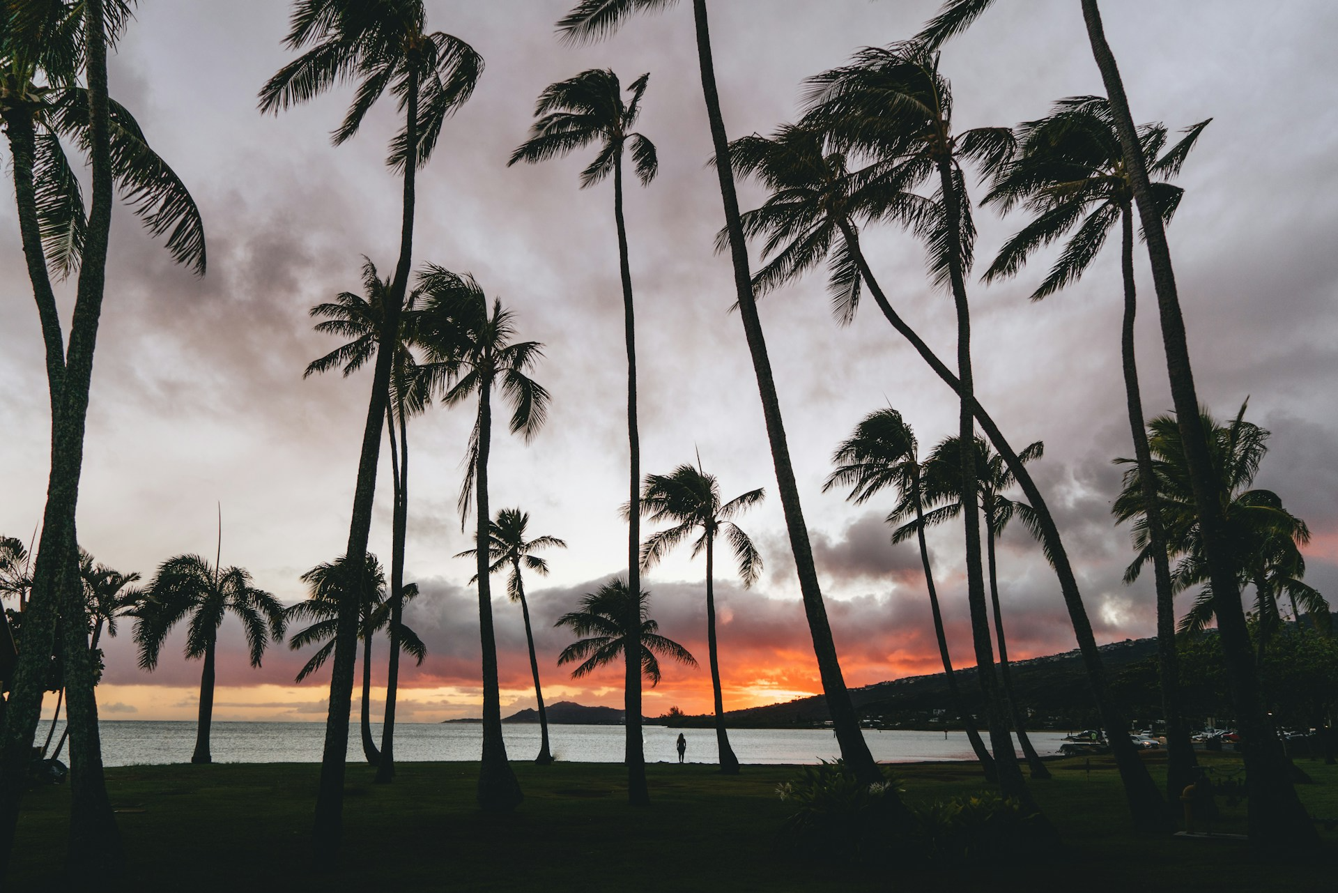 The Leeward Coast