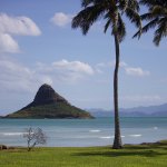 Magic Island